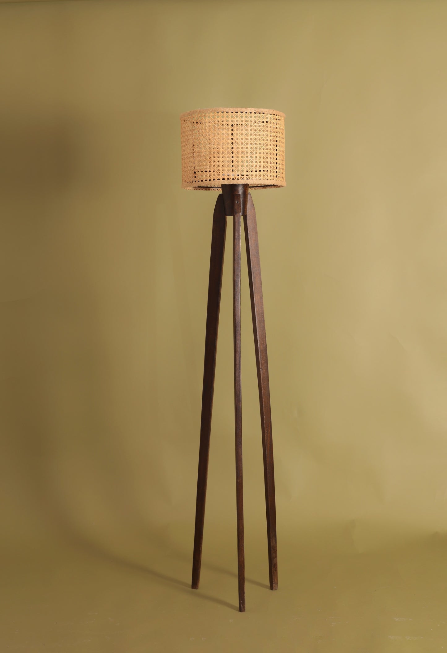 TRIPOD CANE FLOOR LAMP