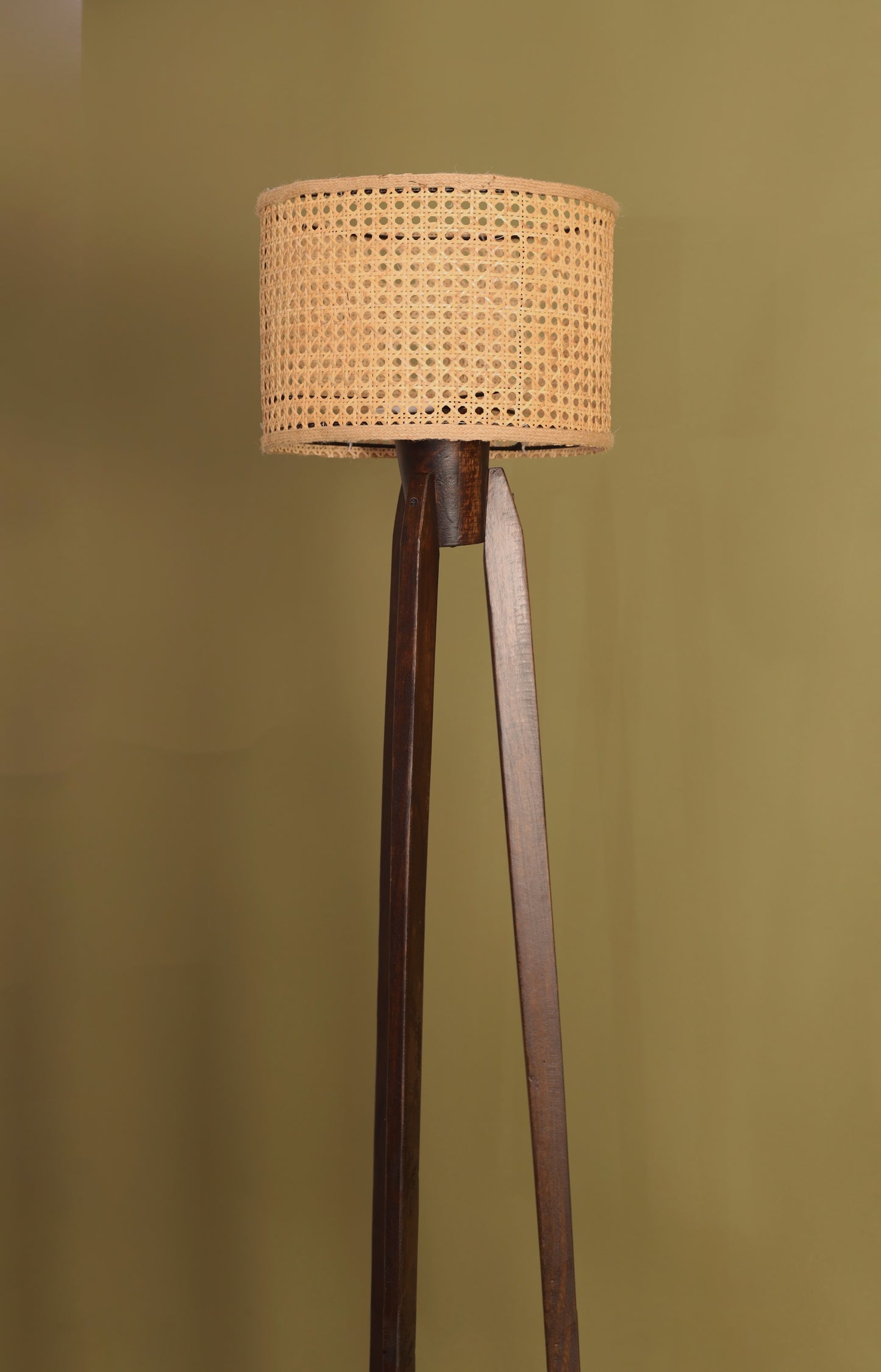TRIPOD CANE FLOOR  LAMP